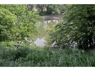 Property photo 70 - FARM & LAND AUCTION - 125+/- ACRES OFFERED IN 5 TRACTS IN EAST ALLEN COUNTY, INDIANA